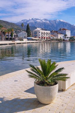 Güneşli kış gününde güzel Akdeniz manzarası. Tivat şehrinin seti. Karadağ, Adriyatik Denizi, Kotor Körfezi
