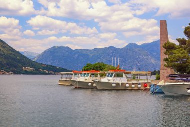 Karadağ, Kotor Körfezi. Kotor şehri ve Özgürlük Parkı 'nın manzarası