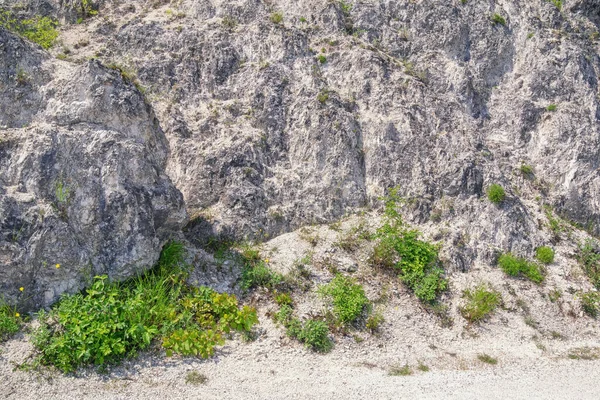 Pierres Herbe Fond Pierre Naturelle Détail Falaise Verticale Dans Les — Photo