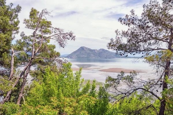 Karadağ Skadar Gölü Ulusal Parkı Bulutlu Bahar Gününde Skadar Gölü Stok Resim