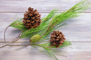 Köy masasında çam ağacı ve çam kozalakları var. Metin için boş alan
