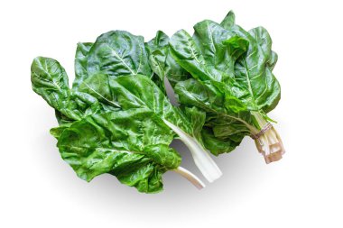 Balkan mutfağı. Blitva (pazı yaprakları) popüler yapraklı sebzelerdir. Beyaz arkaplanda izole