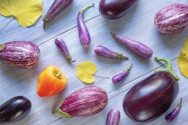 Sonbahar sebzeleri. Kırmızı dolma biber, farklı türde patlıcan ve beyaz kırsal masada sarı yapraklar.