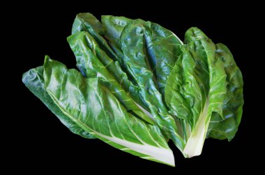 Balkan mutfağı. Blitva (pazı yaprakları) - siyah arka planda izole edilmiş popüler yapraklı sebzeler