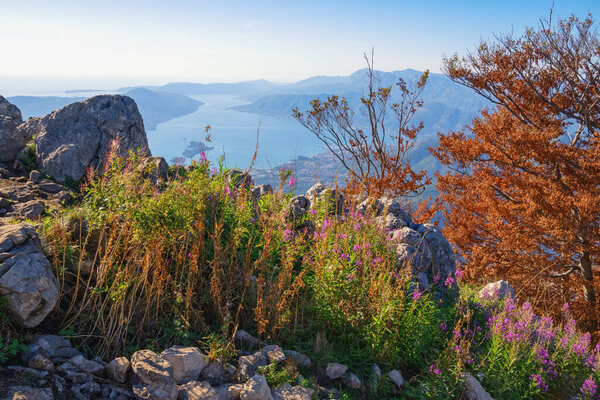 Beautiful autumn mountain landscape. Montenegro, Dinaric Alps. View of Adriatic Sea and Bay of Kotor from mountains in Lovcen national park 