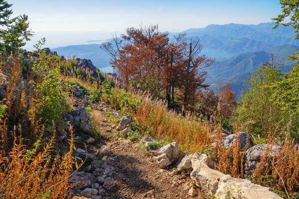 Beautiful autumn Mediterranean landscape. Montenegro. Narrow path for hiking in the mountains above the Bay of Kotor