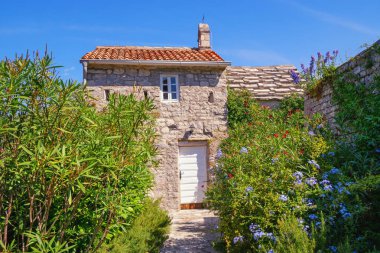 Meleklerin Leydisi 'nin küçük antik kilisesi. Çiçekler arasında kiliseye giden yol. Karadağ ve Tivat