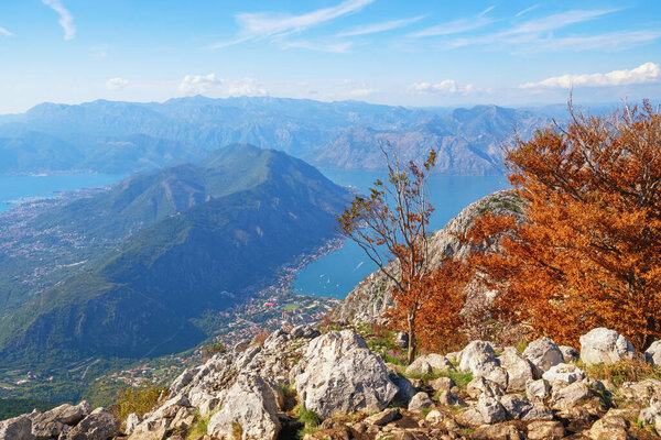 Солнечный осенний средиземноморский пейзаж. Монтенегро. Вид на залив Котор и гору Врмач - гору между городом Тиват и городом Котор 