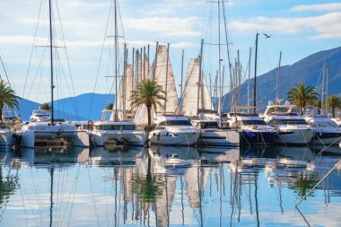 Montenegro, Tivat. View of Porto Montenegro marina. Yachts and sailboats are reflected in water of Bay of Kotor