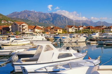  Fishing boats in harbour. Sunny November Mediterranean landscape. Montenegro, Tivat. View of marina Kalimanj against Lovcen mountains
