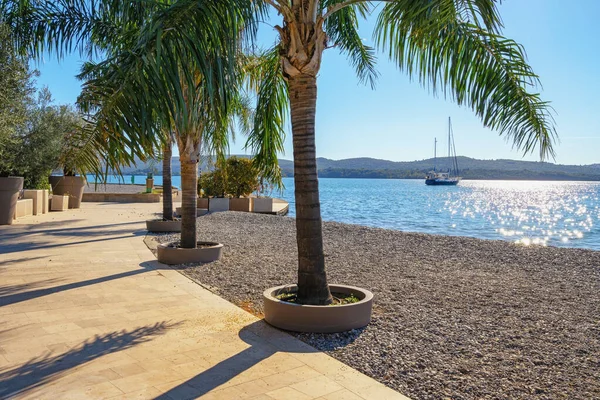 Güneşli bir sonbahar Akdeniz manzarası. Karadağ, Adriyatik Denizi. Kotor Körfezi, Tivat şehri yakınlarında. Issız plaj ve sıralı Tilki Kuyruğu palmiye ağaçları (Wodyetia bifurcata) )