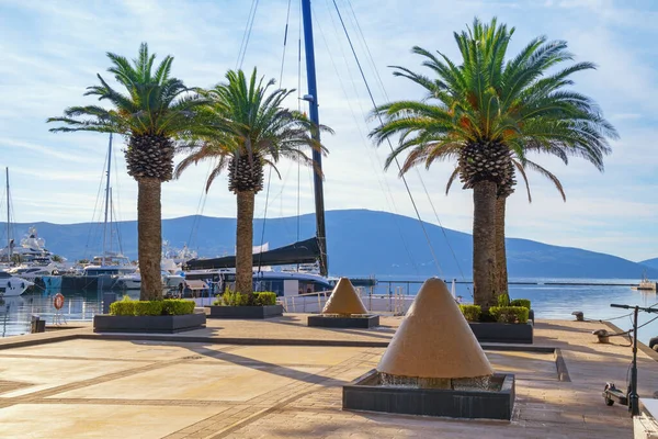 Güneşli bir sonbahar gününde Tivat 'taki Porto Montenegro marinasının manzarası. Yatlar ve yelkenliler. Karadağ., Kotor Körfezi
