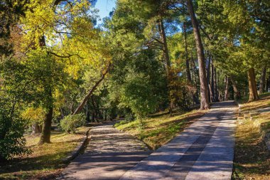 Güneşli bir kış gününde parkta yürüyüş. Karadağ, Tivat şehri. Büyük Şehir Parkı (Veliki Gradski Parkı) manzarası. Kozalaklı ve yaprak döken ağaçlar