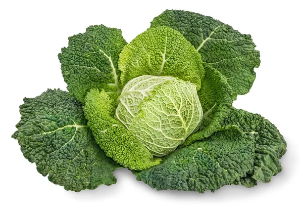Savoy cabbage. Isolated Royalty Free Stock Photos