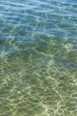 Balık sürüsü su doku