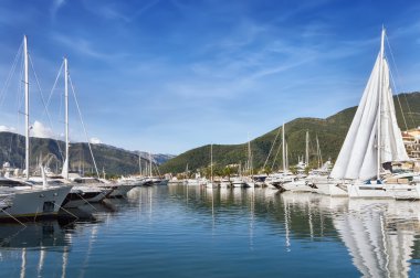 Porto Karadağ. Tivat şehir, Karadağ