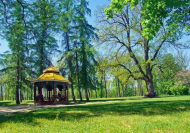 Çin pergola dendroloji Ulusal parkta 