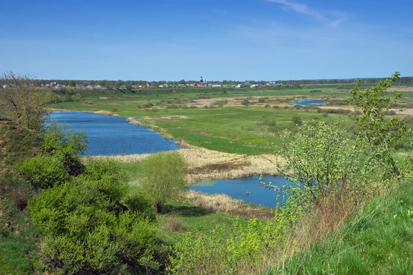 물 풀밭입니다. 중앙 러시아 — 스톡 사진