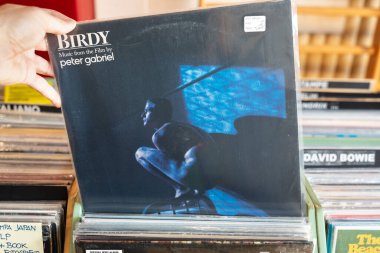 Birdy, İngiliz müzisyen Peter Gabriel 'in 1985 yılında vizyona giren Alan Parker filmi için yaptığı film müziği. Udine, İtalya. 26 Ekim 2025