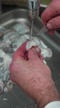 Lavaboda akan suyun altında taze mürekkep balığı temizlemek, mutfak ortamında hijyenik gıda kullanmak..