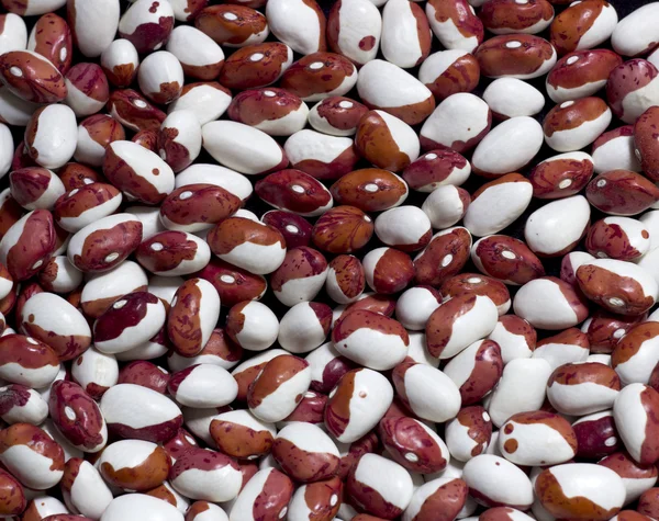 beans, white with brown