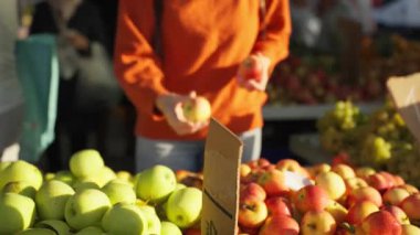 Genç kadın taze elma seçiyor.