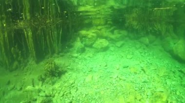 Güzel göl manzarası