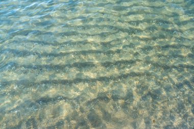 Structures from the Baltic Sea beach. Natural backgrounds