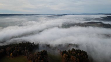 Bavyera Ormanı 'nın muhteşem manzarası ve vadide yoğun, mistik sis bulunan Straubing-Bogen bölgesiyle doğal bir manzara. Almanya, Bavyera 'daki sonbahar manzarası.