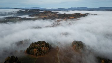 Bavyera Ormanı 'nın muhteşem manzarası ve vadide yoğun, mistik sis bulunan Straubing-Bogen bölgesiyle doğal bir manzara. Almanya, Bavyera 'daki sonbahar manzarası.