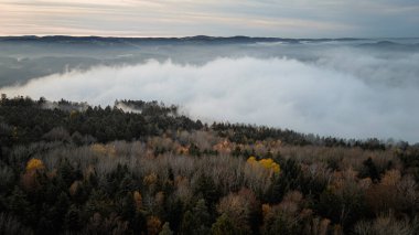 Bavyera Ormanı 'nın muhteşem manzarası ve vadide yoğun, mistik sis bulunan Straubing-Bogen bölgesiyle doğal bir manzara. Almanya, Bavyera 'daki sonbahar manzarası.