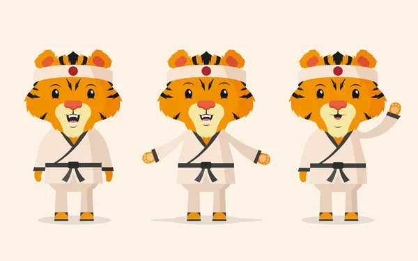 Lustige Tiger. Karate-Meister mit Schwarzgürtel — Stockvektor