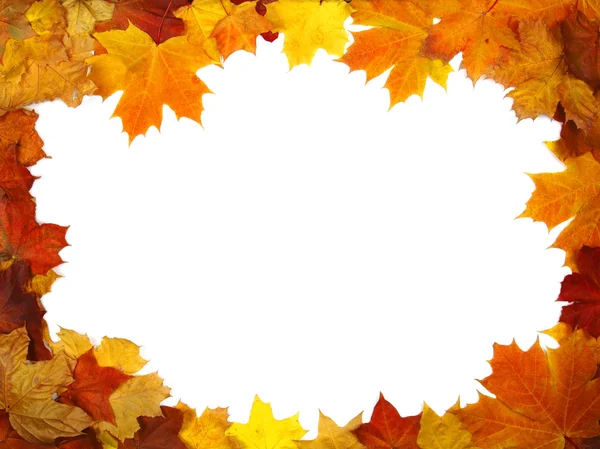Brughtful 框架组成的色彩鲜艳的秋叶 图库图片