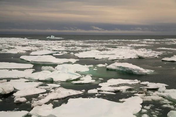 Packed ice in Arctic sea — Stock Photo, Image