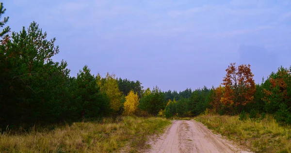 Eine Sandige Straße Zwischen Gras Und Leuchtend Bunten Herbstbäumen Europäische — Stockfoto