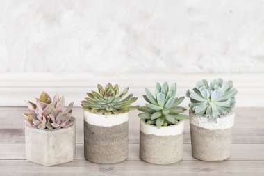 Açık renkli bir tabloda sulu ürünler koleksiyonu, yakın plan resim