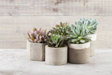 Açık renkli bir tabloda sulu ürünler koleksiyonu, yakın plan resim