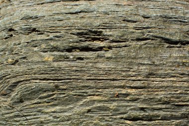 Nehir kayaları dokusu yakın plan, doğal doku arkaplan