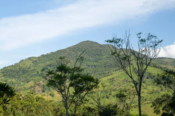 哥伦比亚安提奥基亚东部的树木和山脉 美丽的自然 — 图库照片