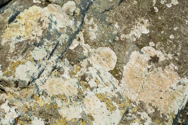 River Rocks Texture Closeup Natural Textured Background — Stock Photo, Image