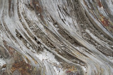 texturas de madera