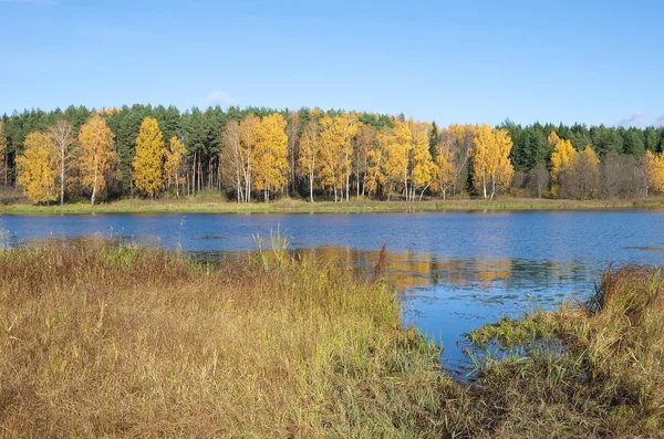 Paisaje otoñal con río en un día soleado — Foto de Stock