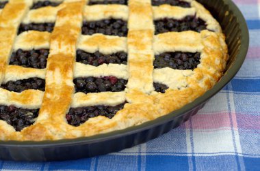 Yaban mersinli pasta ev yapımı portre