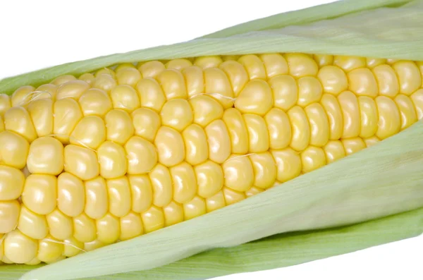 Fresh raw corn on the cob closeup — Stock Photo, Image