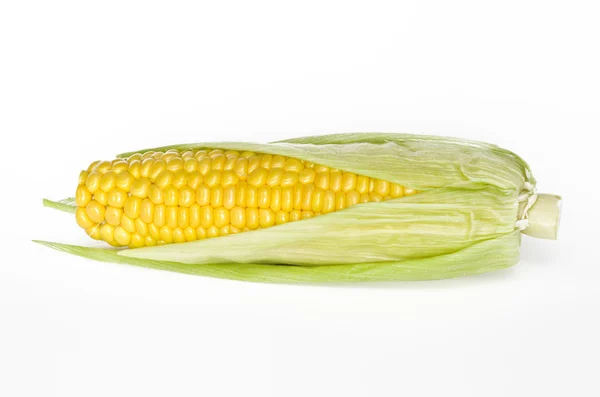 Ripe corn on the cob on white background — Stock Photo, Image