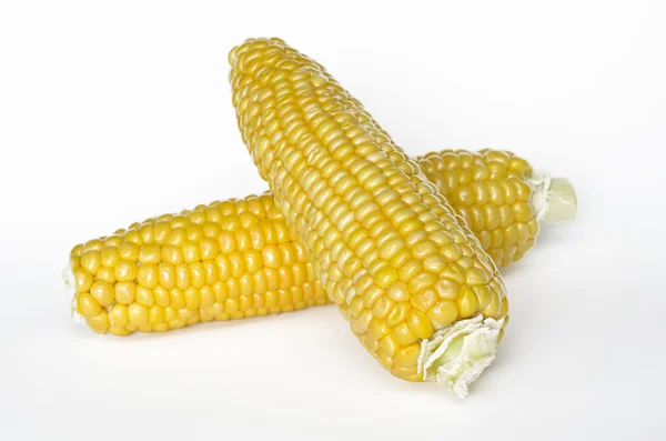 Verse rauwe maïs op de kolf — Stockfoto