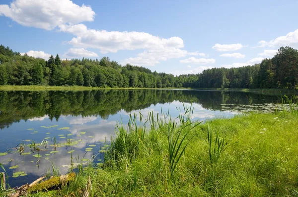 Natura Seligera Jezioro Dokhlets Rejonie Tweru Słoneczny Letni Dzień Rosja — Zdjęcie stockowe