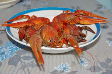 Bir tabakta haşlanmış kerevit.