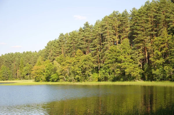 Natura Seligera Jezioro Beloe Obwodzie Twerskim Rosja — Zdjęcie stockowe