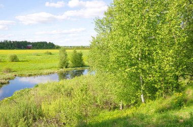Güneşli bir bahar gününde Ucha Nehri